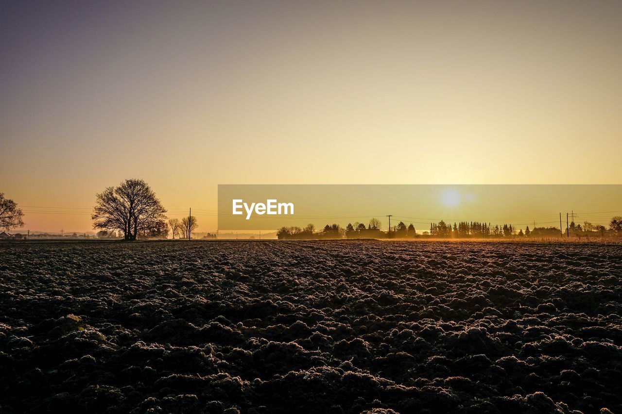 Scenic view of agricultural field against sky during sunrise