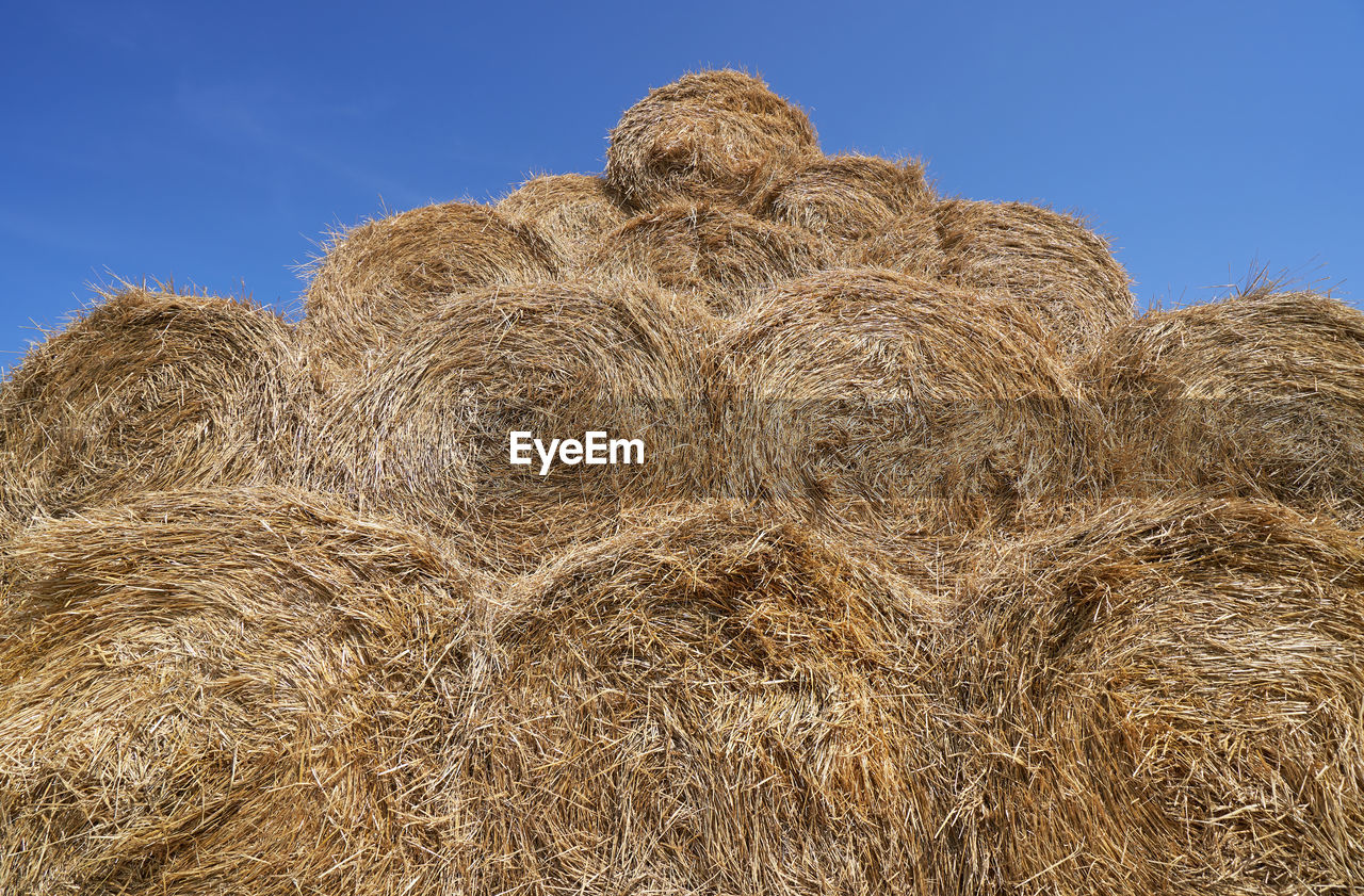 HAY BALES ON FIELD AGAINST SKY