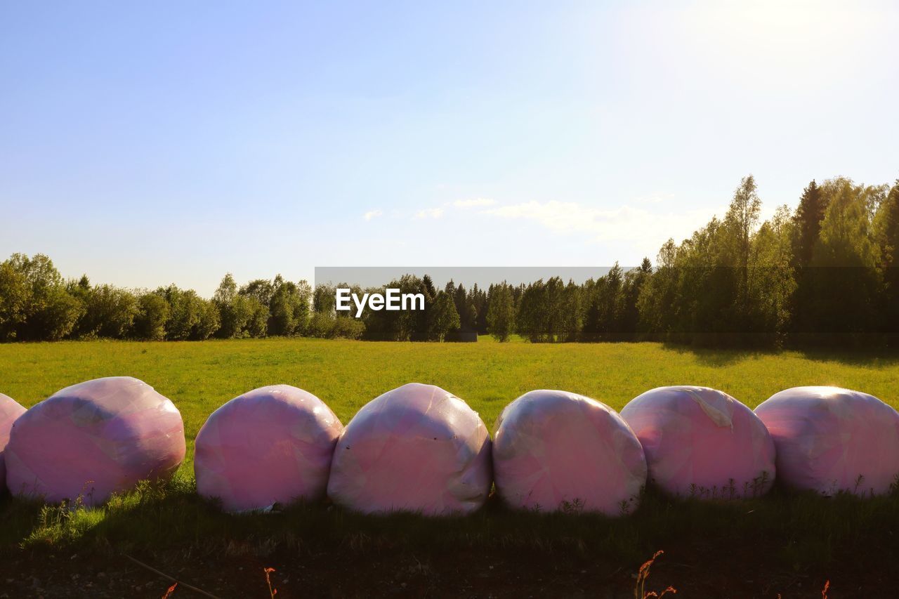 Panoramic shot of field against sky