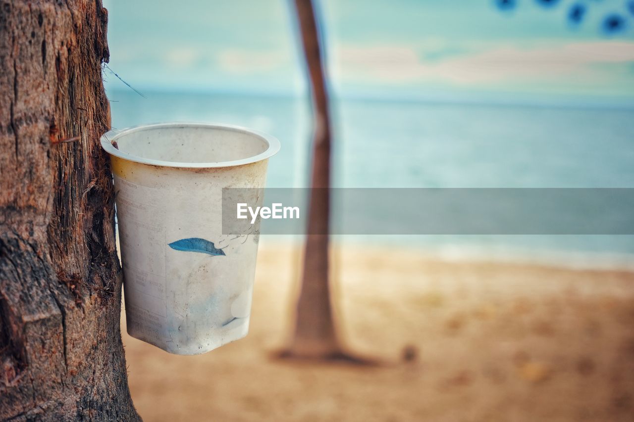 Coffee cup nailed to the tree at beach