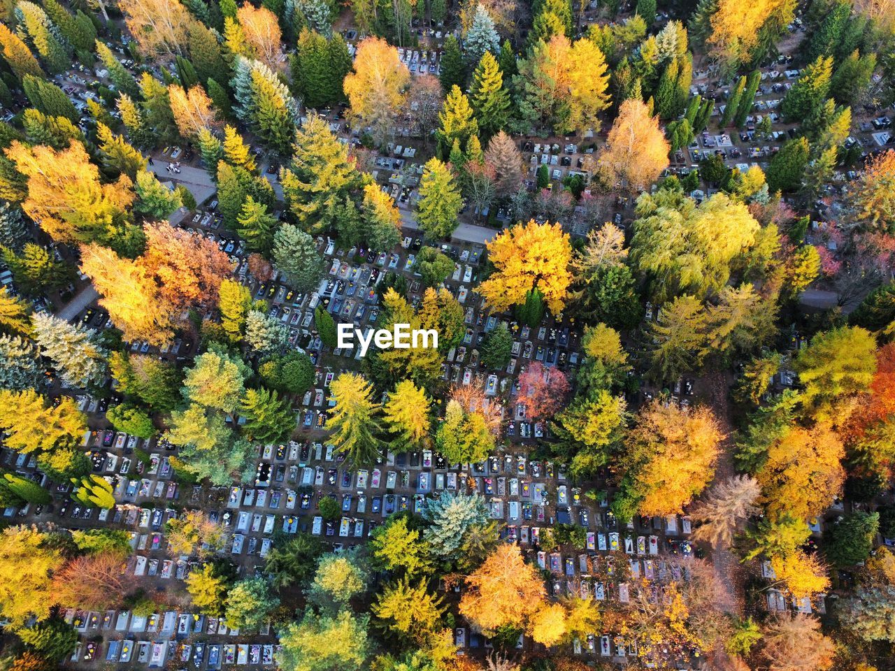 Cemetery in autumn - drone shot