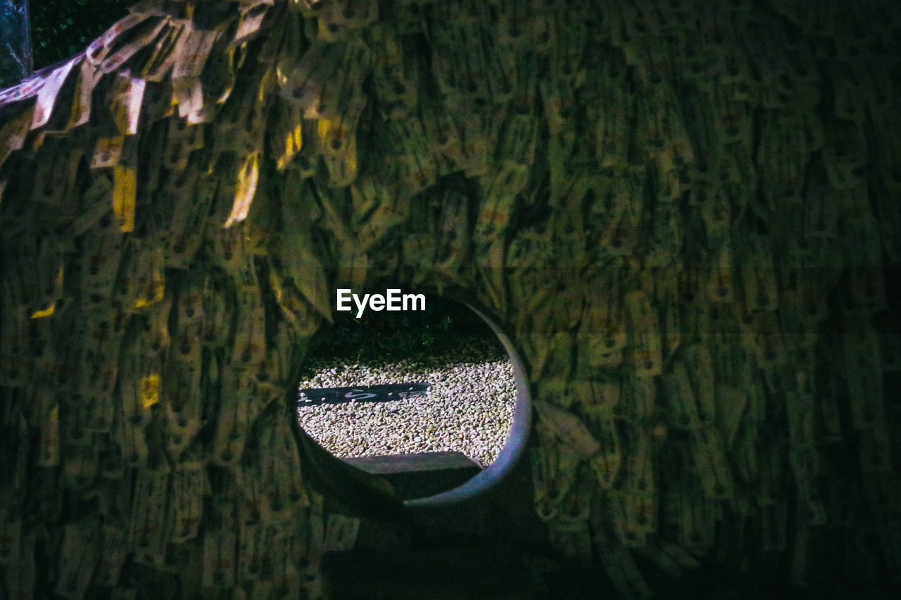 CLOSE-UP OF TREE TRUNK AGAINST WATER