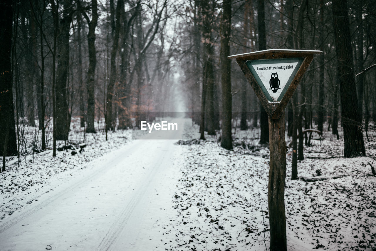 ROAD AMIDST SNOW COVERED TREES IN FOREST