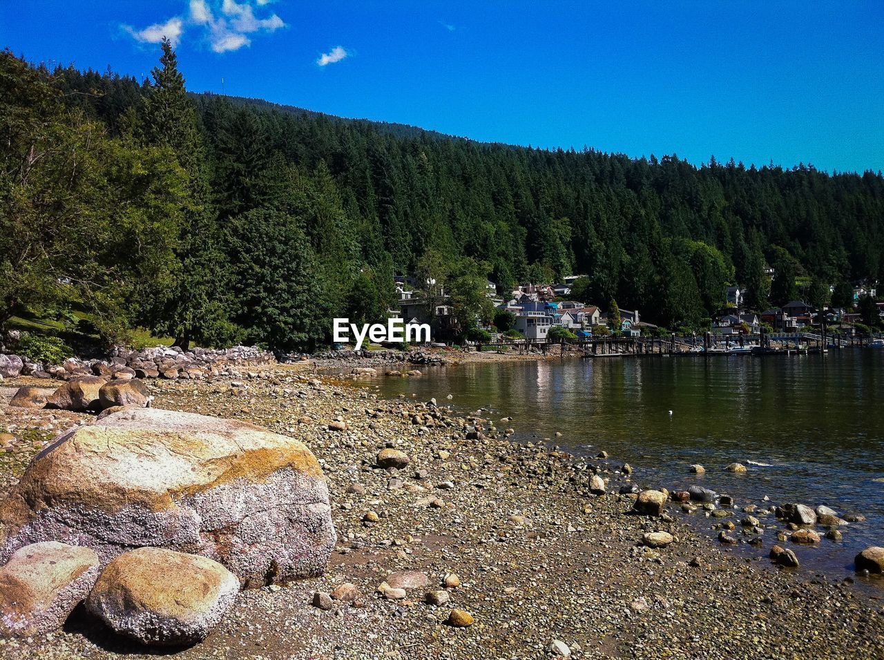 SCENIC VIEW OF LAKE AGAINST TREES