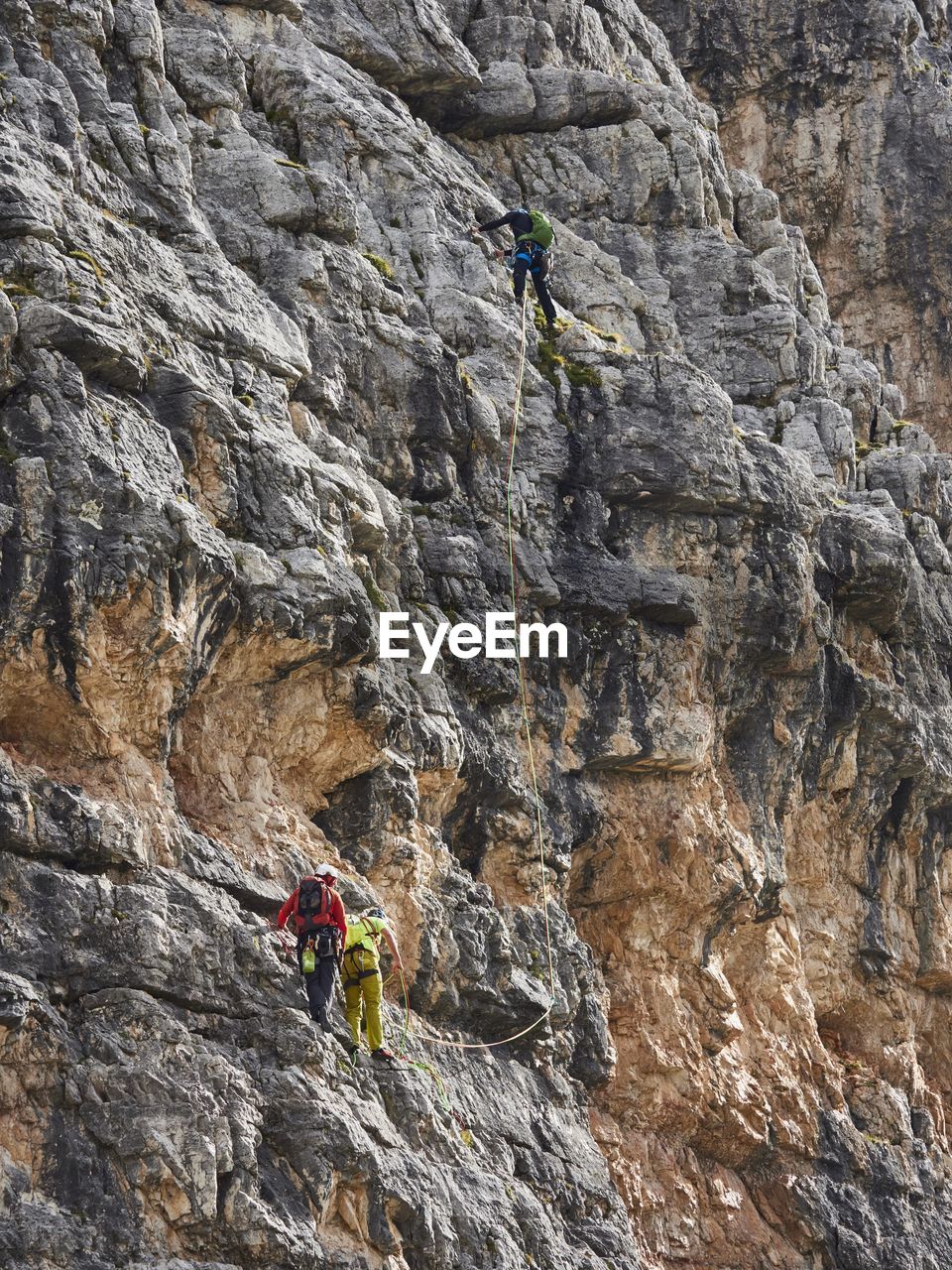 Low angle view of rock climbers in action