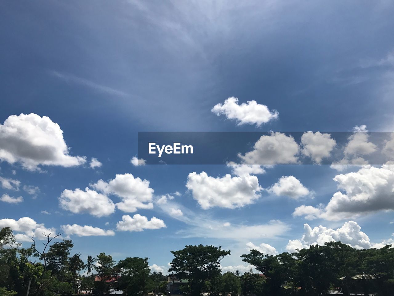 LOW ANGLE VIEW OF TREES AGAINST CLOUDS