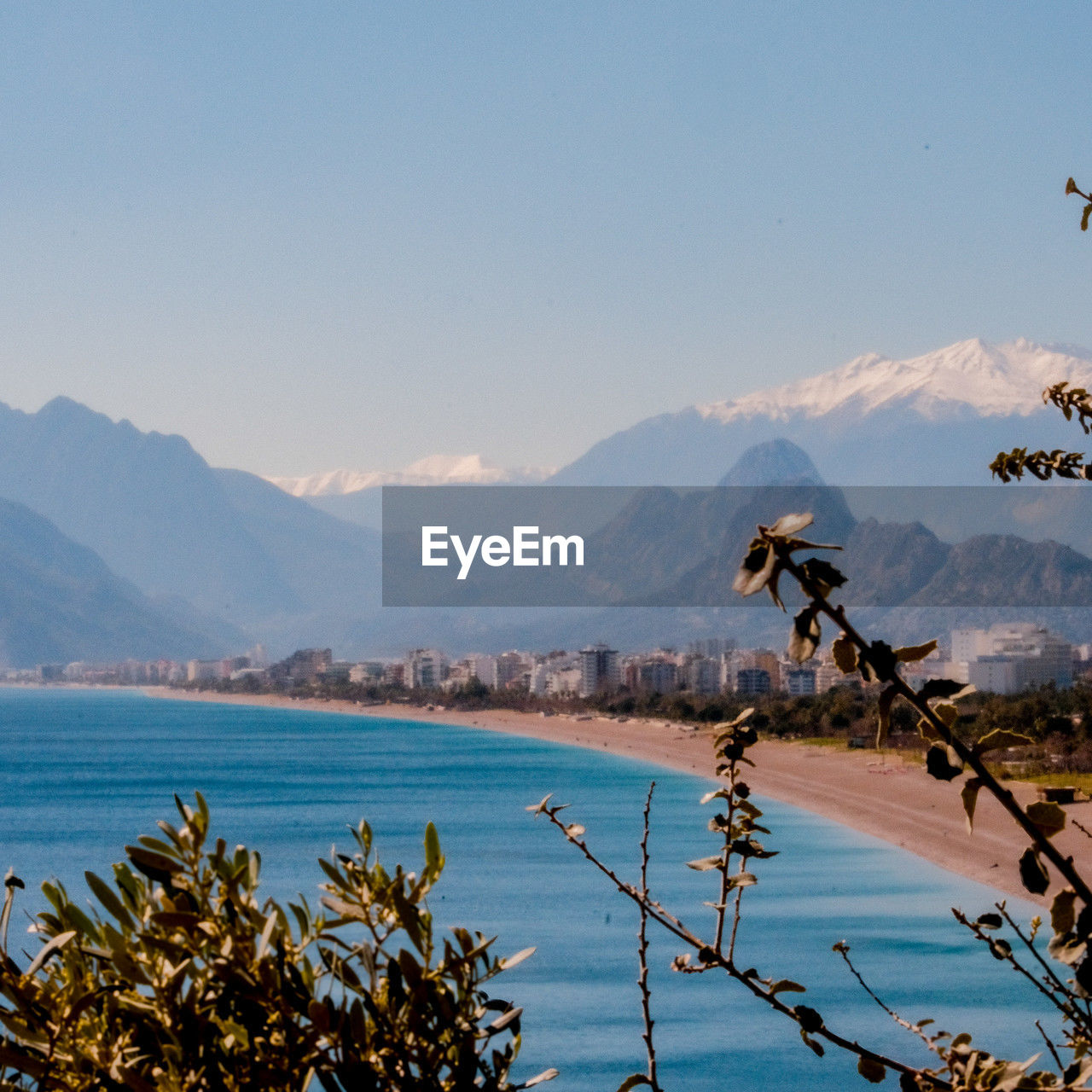 mountain, water, sky, nature, sea, beach, mountain range, scenics - nature, beauty in nature, tree, coast, plant, animal, animal wildlife, animal themes, no people, travel destinations, day, tranquility, wildlife, land, bird, tranquil scene, travel, outdoors, shore, environment, body of water, landscape, clear sky, morning, blue, reflection, sunlight, ocean, bay