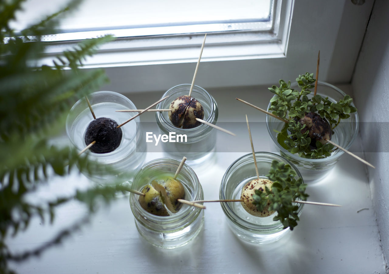 High angle view of toothpicks pierced on food in containers by window