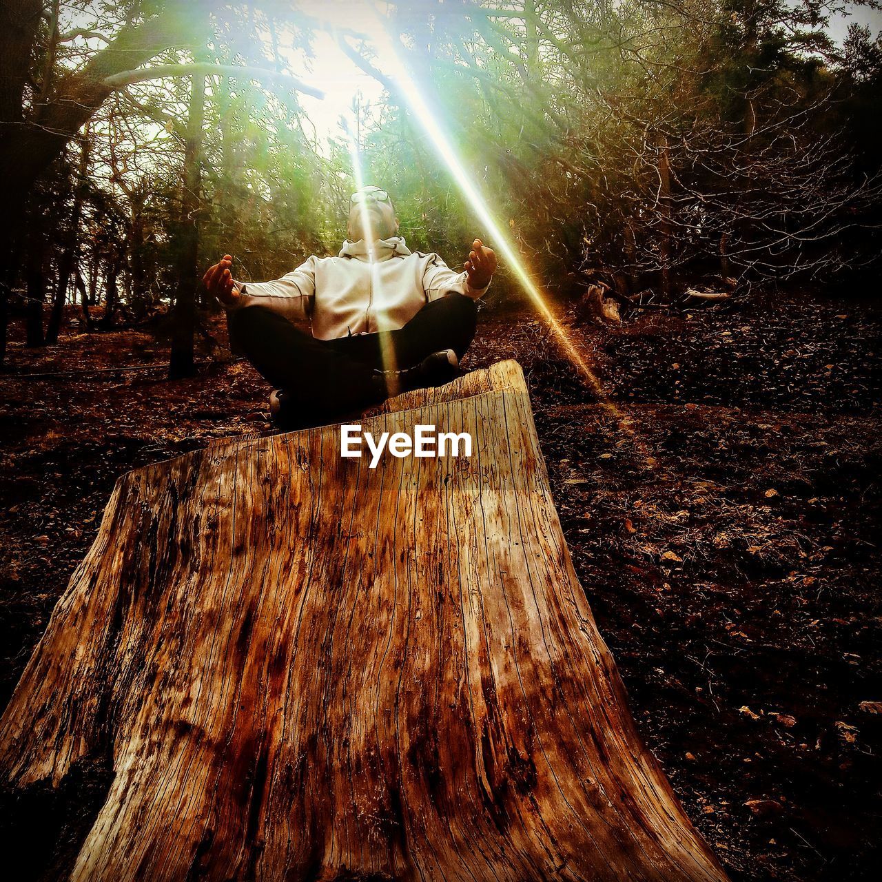 PANORAMIC VIEW OF PEOPLE SITTING BY TREE TRUNK