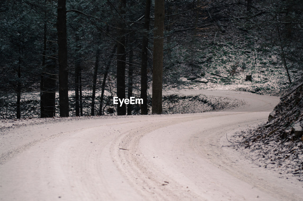 DIRT ROAD AMIDST TREES IN FOREST