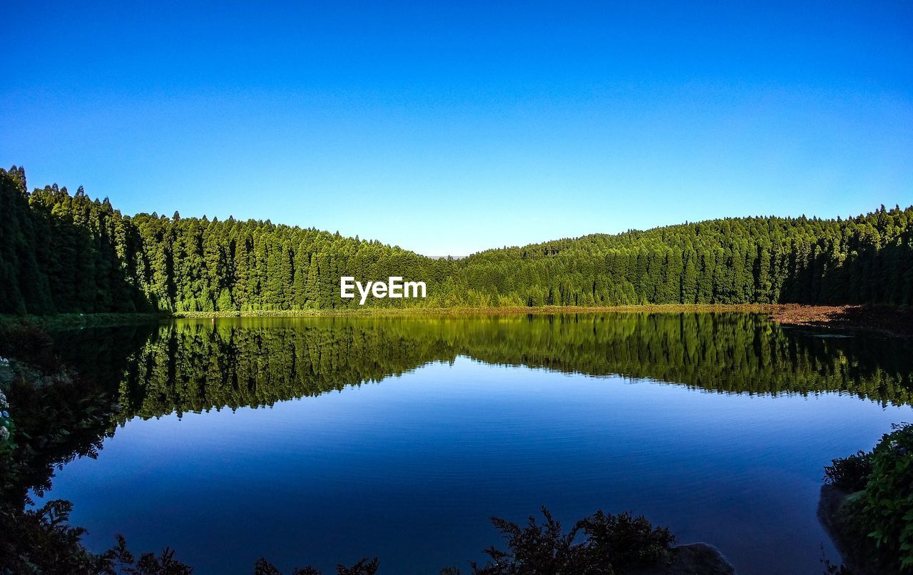 Scenic view of lake against clear blue sky