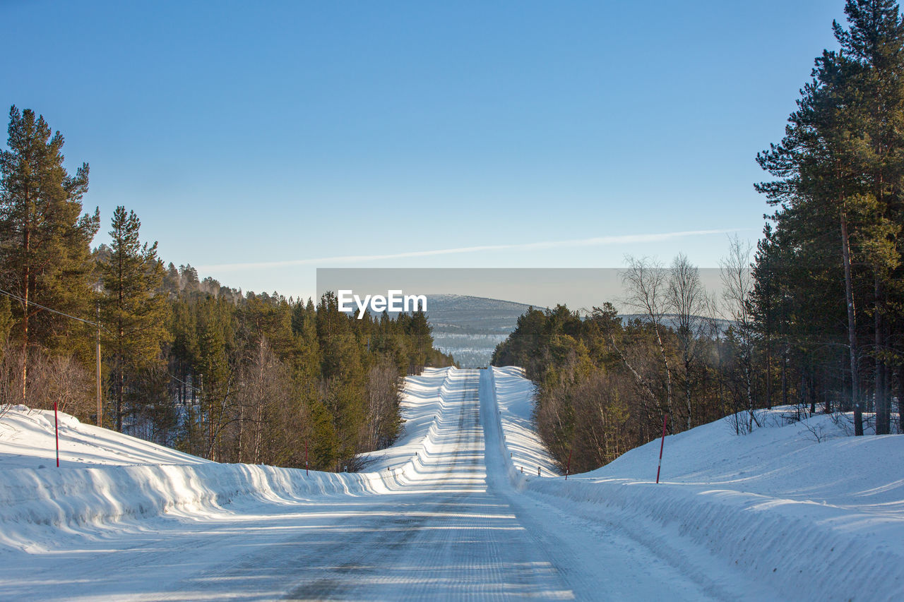 ROAD AMIDST TREES AGAINST CLEAR SKY