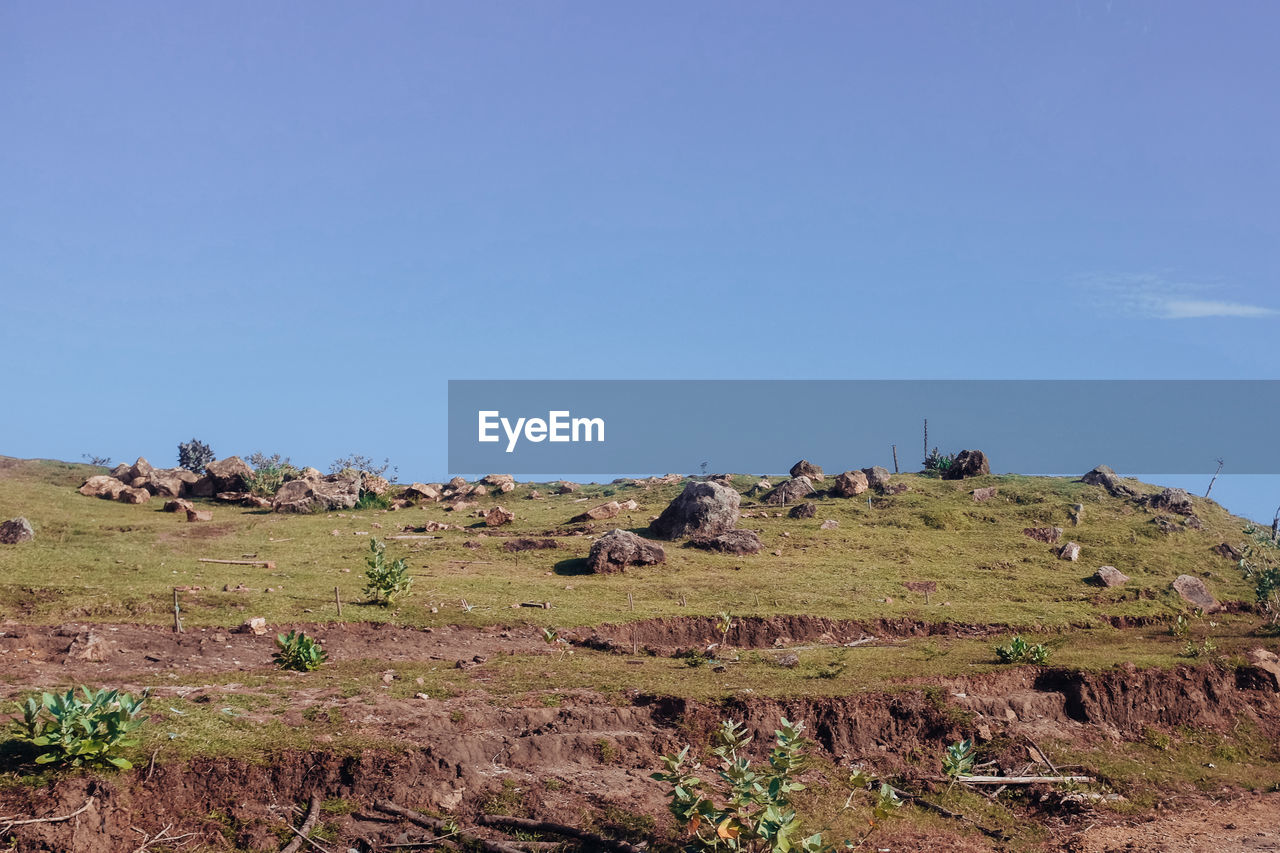 Scenic view of field against clear blue sky