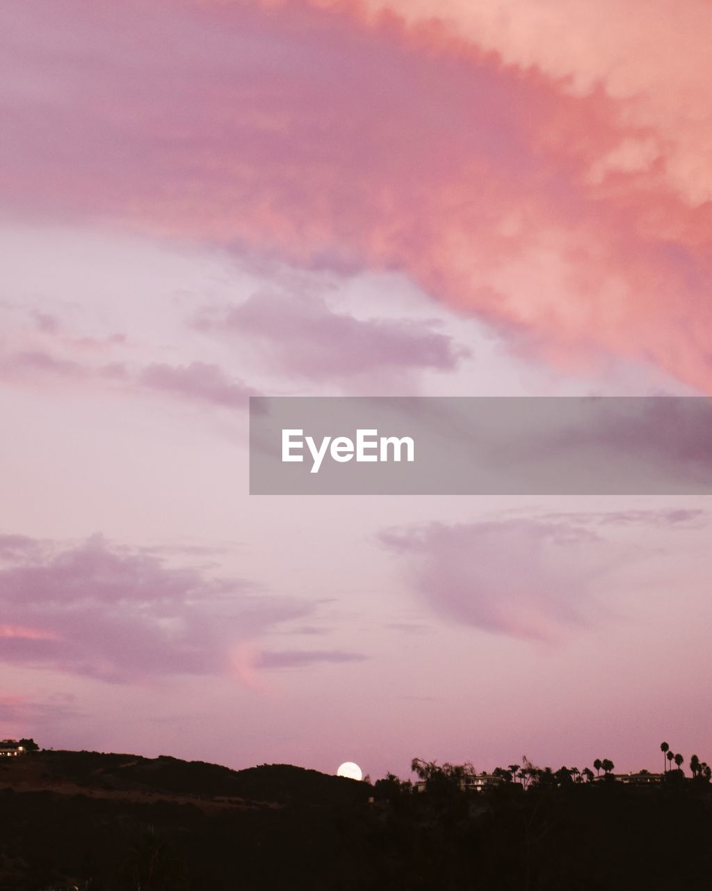 Low angle view of silhouette trees against sky during sunset