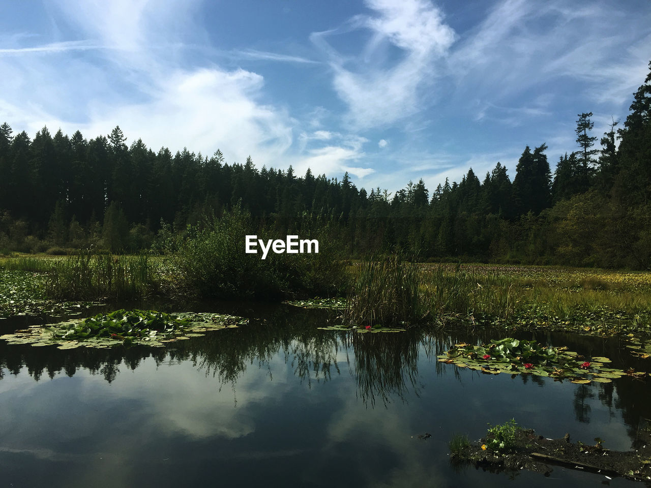 Scenic view of lake against sky