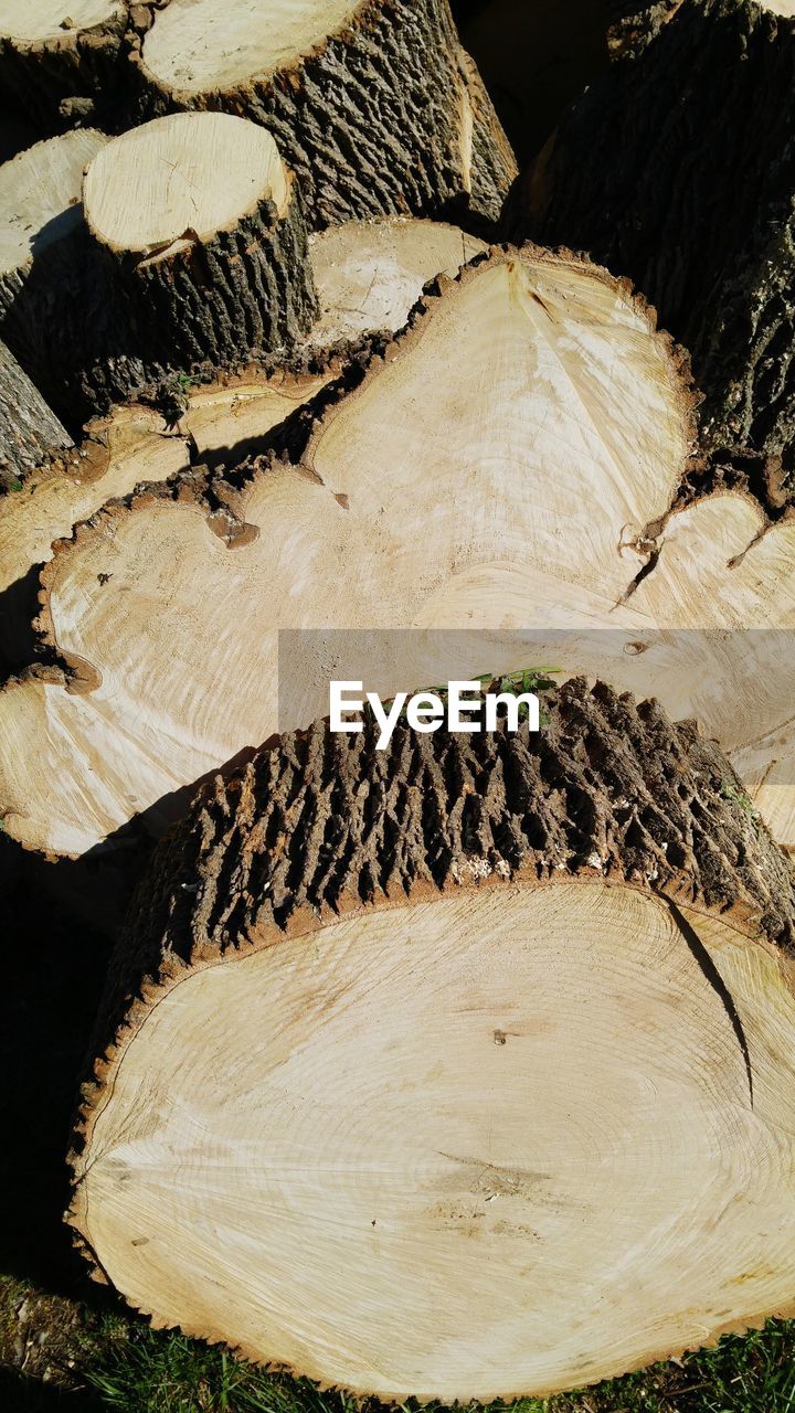 log, timber, deforestation, lumber industry, wood - material, tree stump, day, outdoors, no people, tree ring, stack, nature, tree trunk, close-up, tree, forestry industry