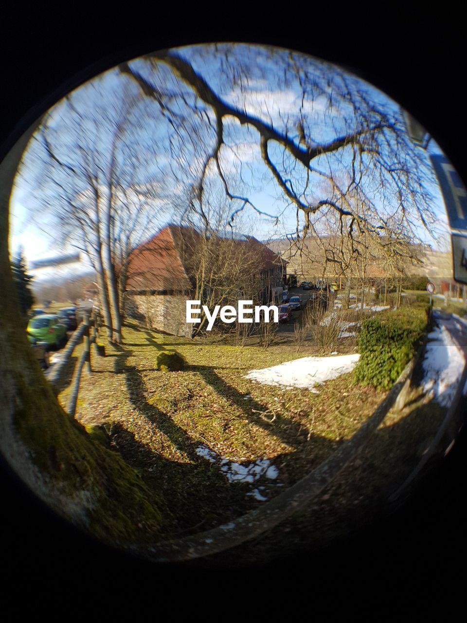 CLOSE-UP OF BARE TREES AGAINST SKY