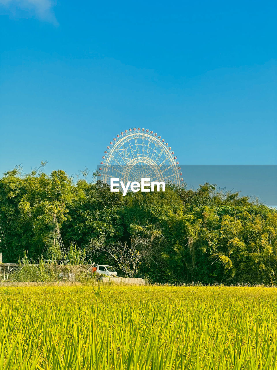 Scenic view of field against clear blue sky