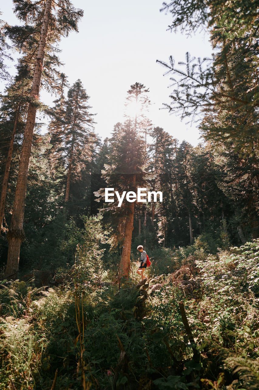 Woman in forest against sky