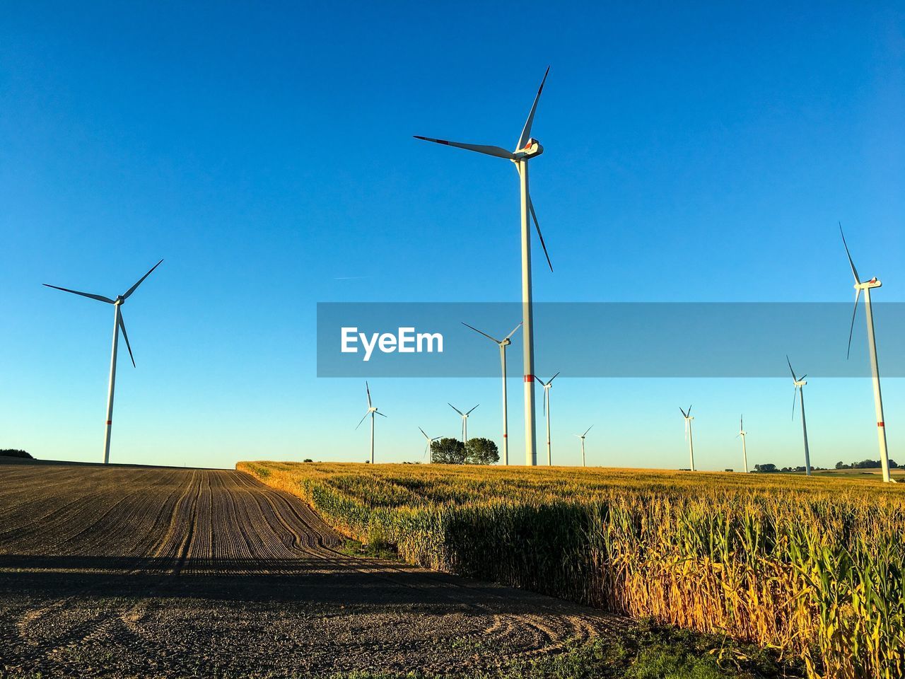 Windmills on field against clear blue sky on sunny day