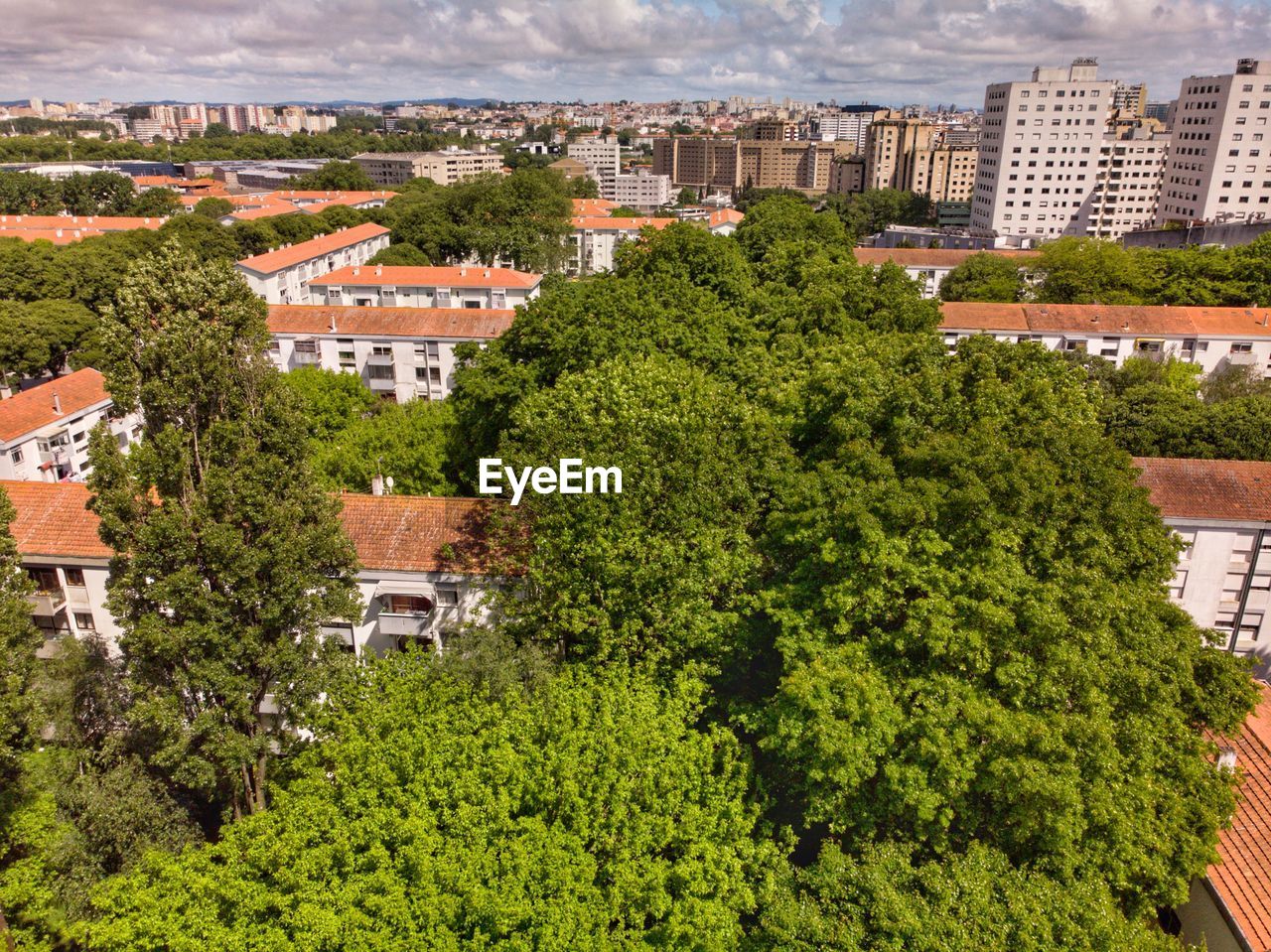 HIGH ANGLE VIEW OF TREES AND HOUSES IN TOWN