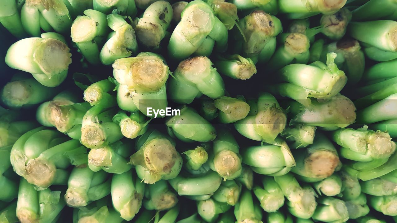 FULL FRAME SHOT OF GREEN VEGETABLES