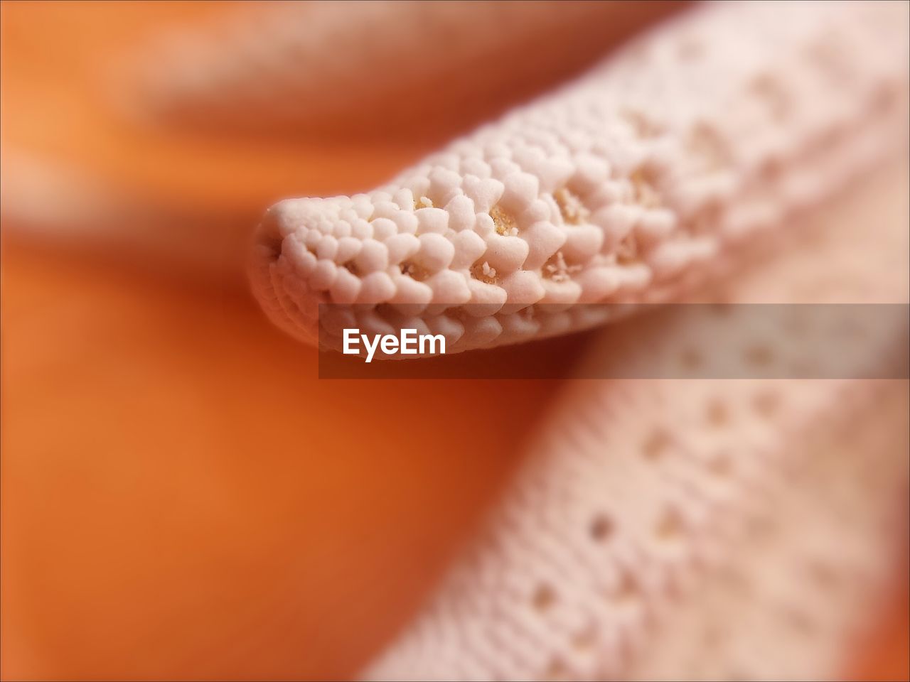 Extreme close-up of starfish