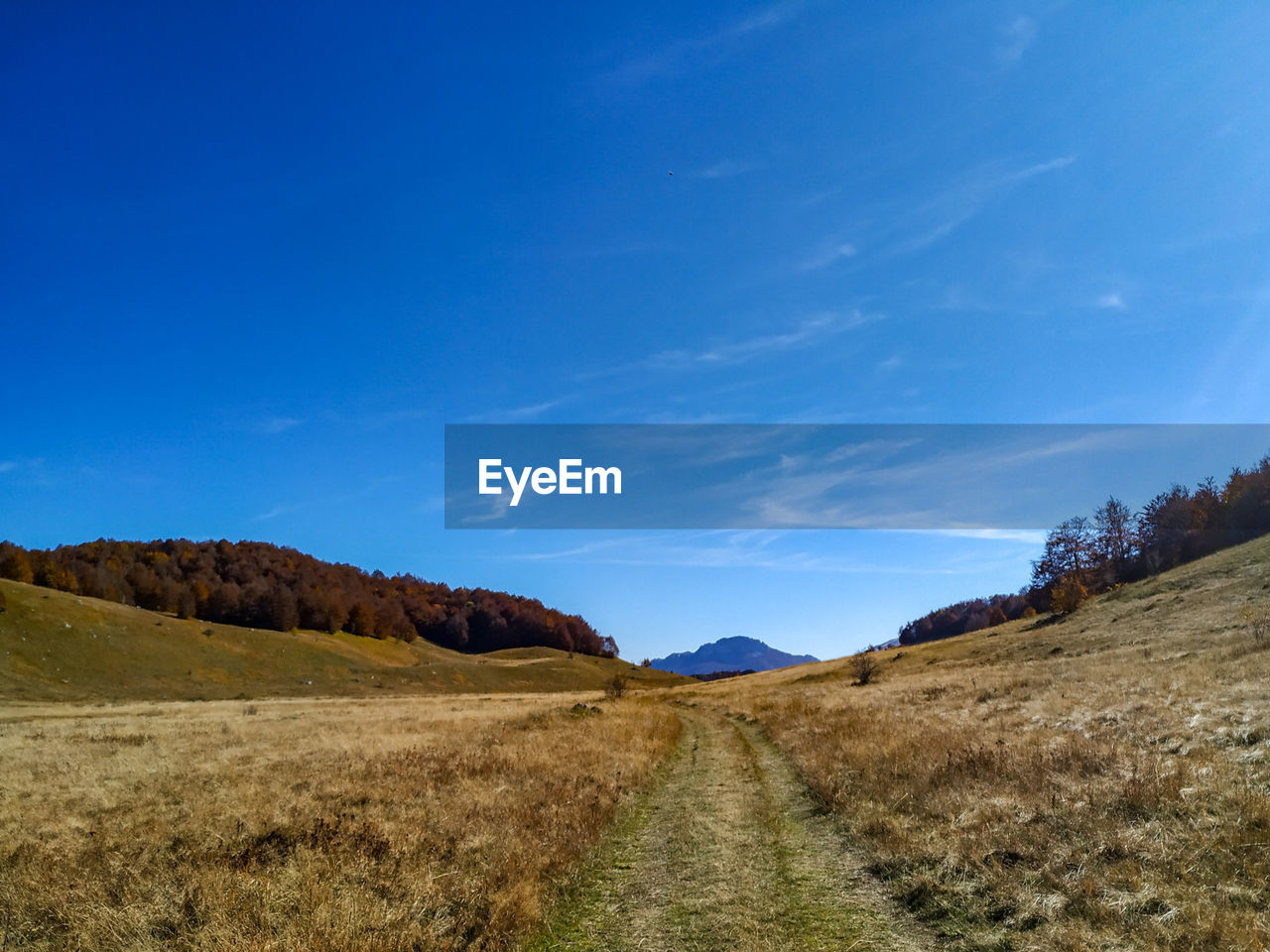 DIRT ROAD AMIDST FIELD AGAINST SKY