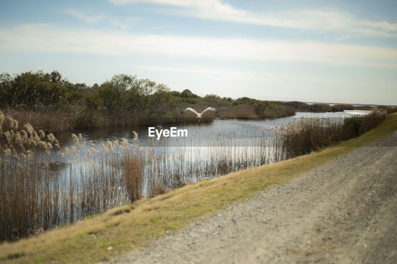 water, sky, nature, plant, river, reflection, reservoir, cloud, rural area, shore, environment, scenics - nature, waterway, landscape, beauty in nature, no people, grass, tranquility, morning, tranquil scene, land, tree, marsh, wetland, non-urban scene, day, outdoors, beach, body of water, natural environment, footpath, coast, road, travel