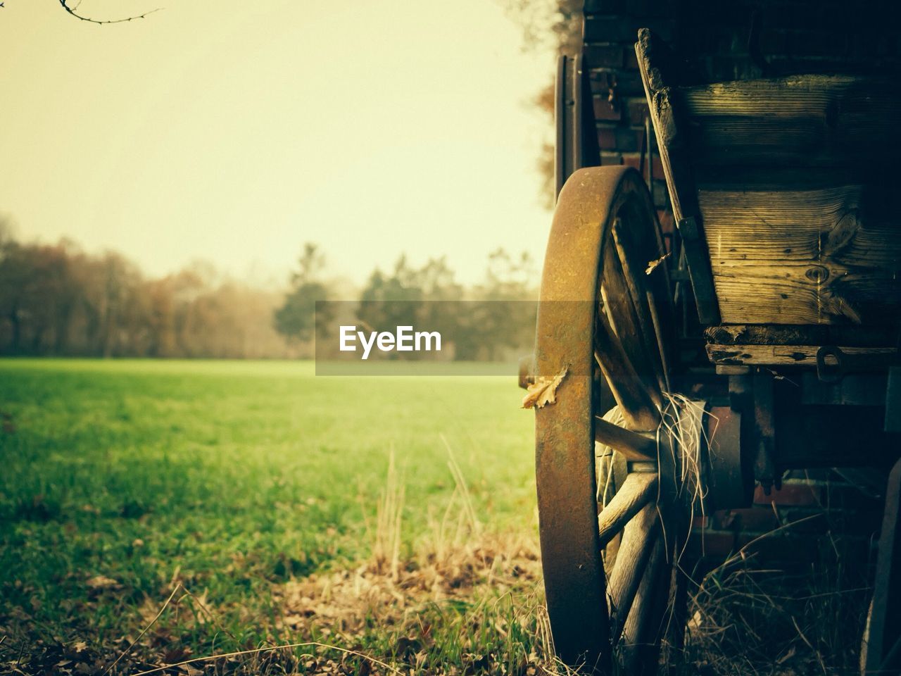 Trees and landscape against sky with wheel in foreground