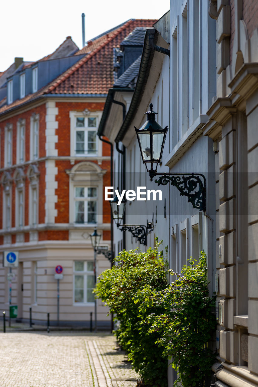 POTTED PLANTS ON STREET BY BUILDING