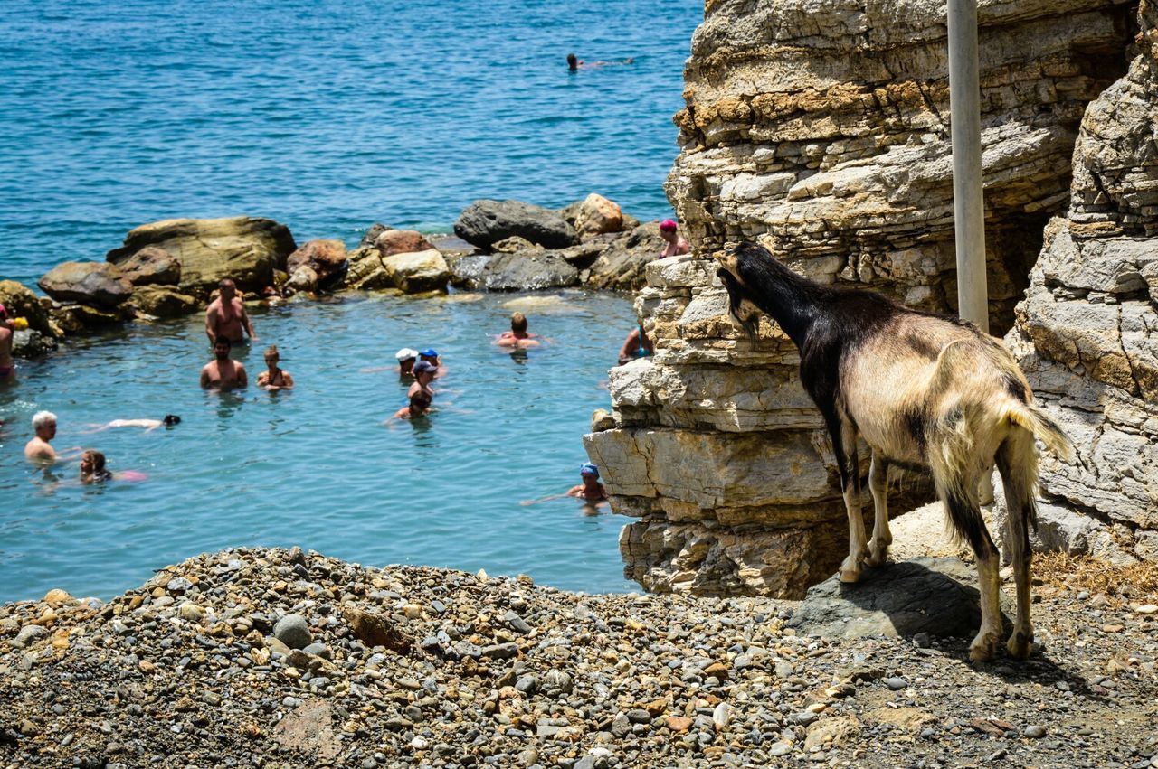 High angle view of people swimming in sea