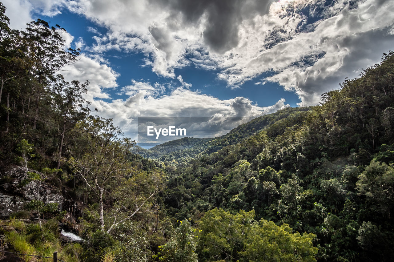 SCENIC VIEW OF FOREST AND MOUNTAINS AGAINST SKY