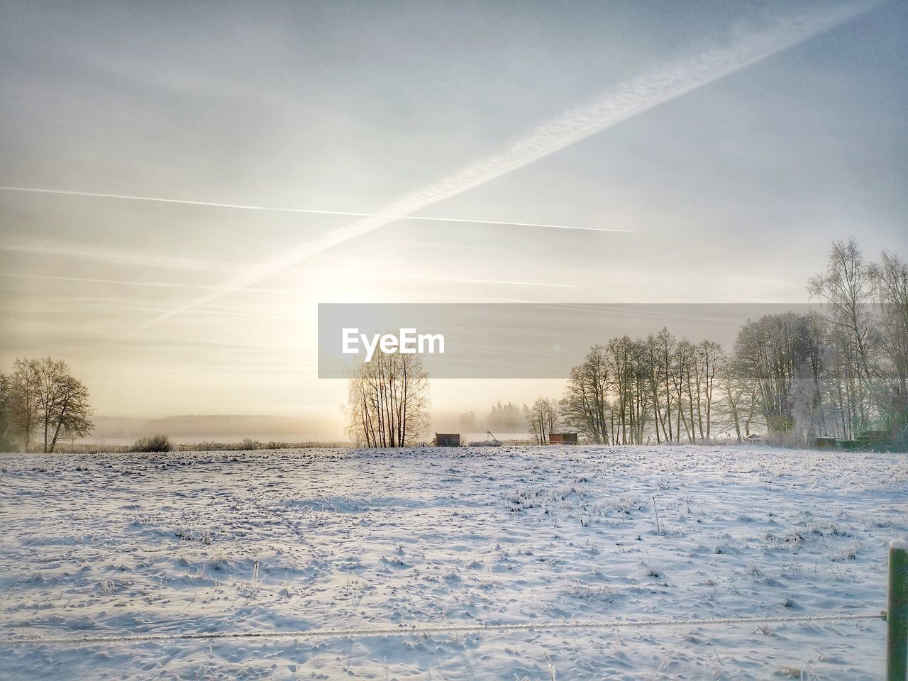 TREES ON SNOW COVERED FIELD AGAINST SKY