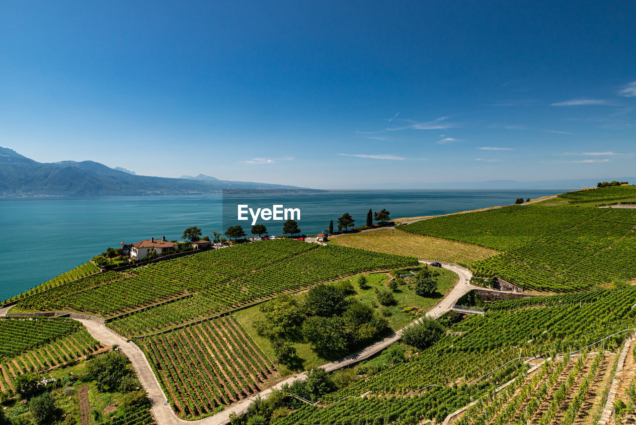 Vineyards on lake geneva, excursions and itineraries among the vineyards, panorama on lake geneva.