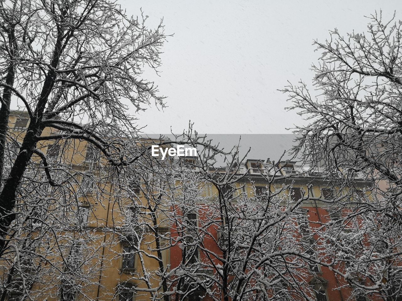 LOW ANGLE VIEW OF BARE TREE AND BUILDING AGAINST SKY