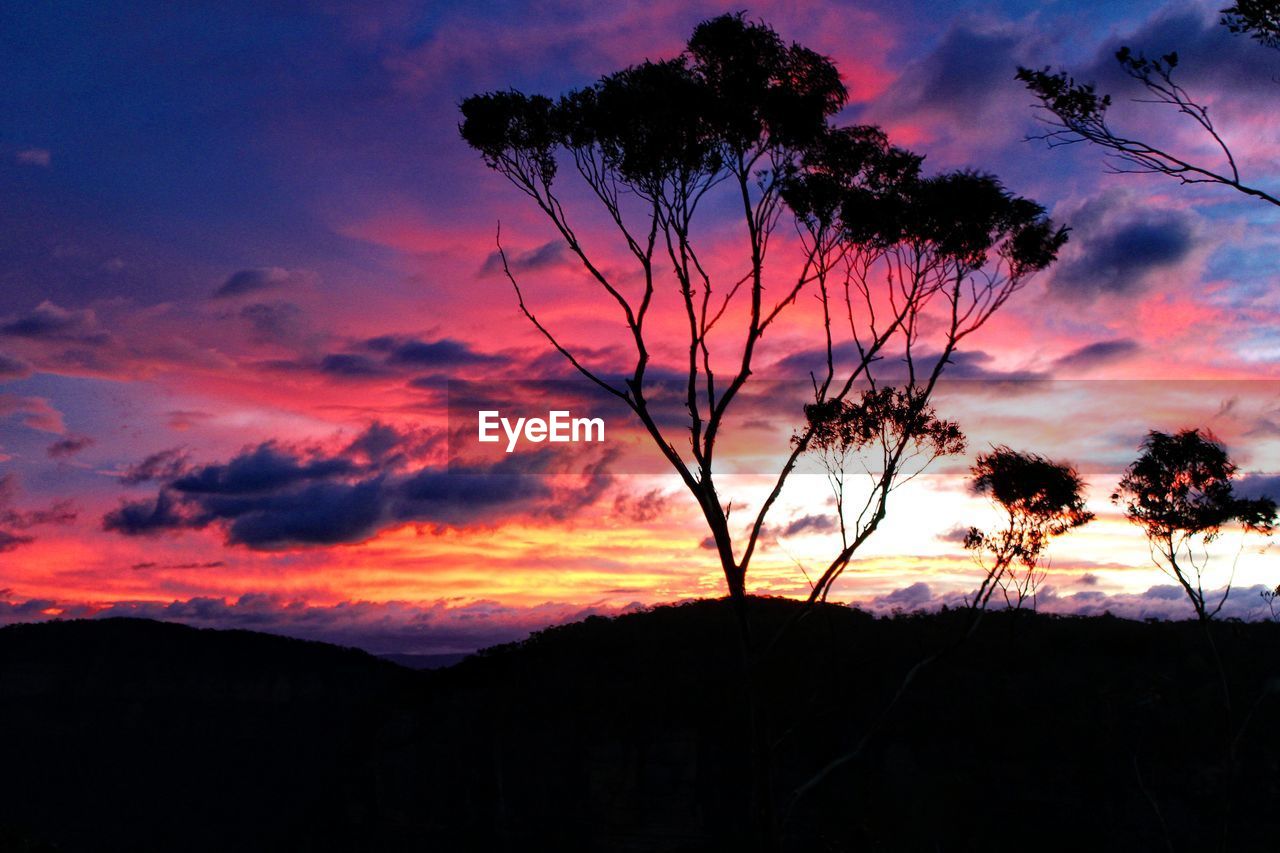 SILHOUETTE TREE AGAINST SKY AT SUNSET