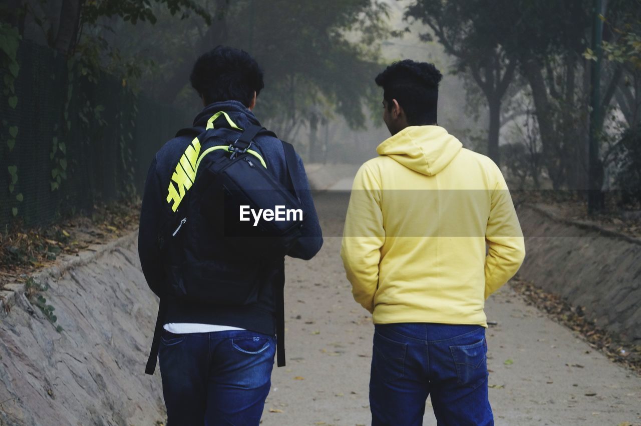 Rear view of male friends walking on road