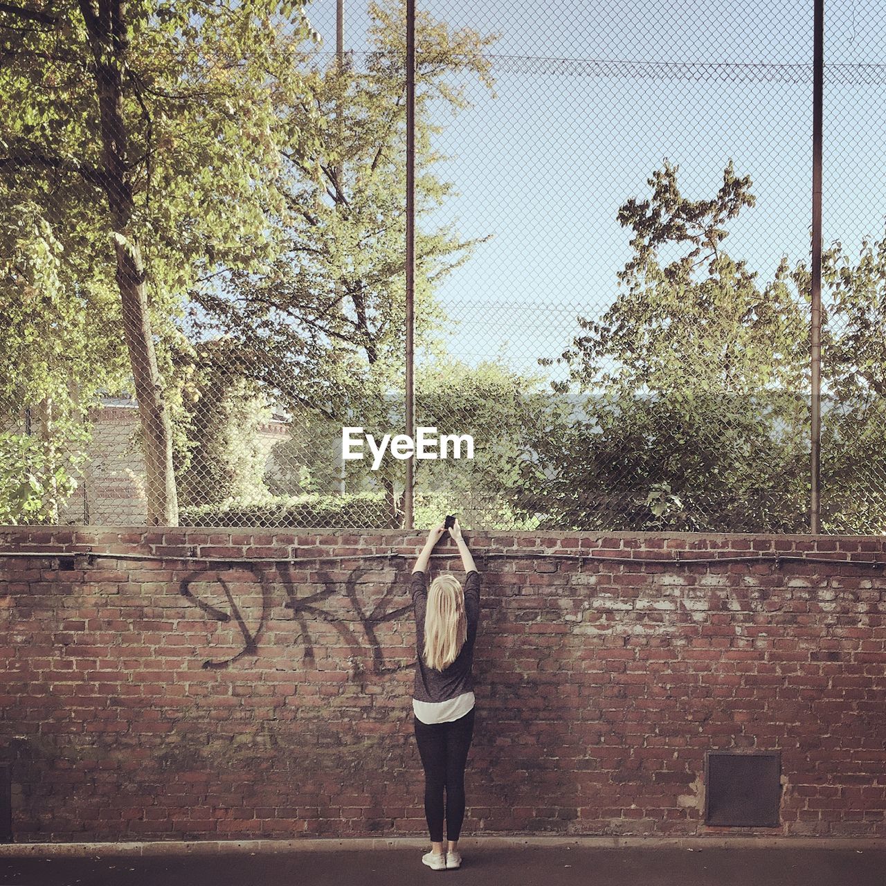 Rear view of woman photographing against wall