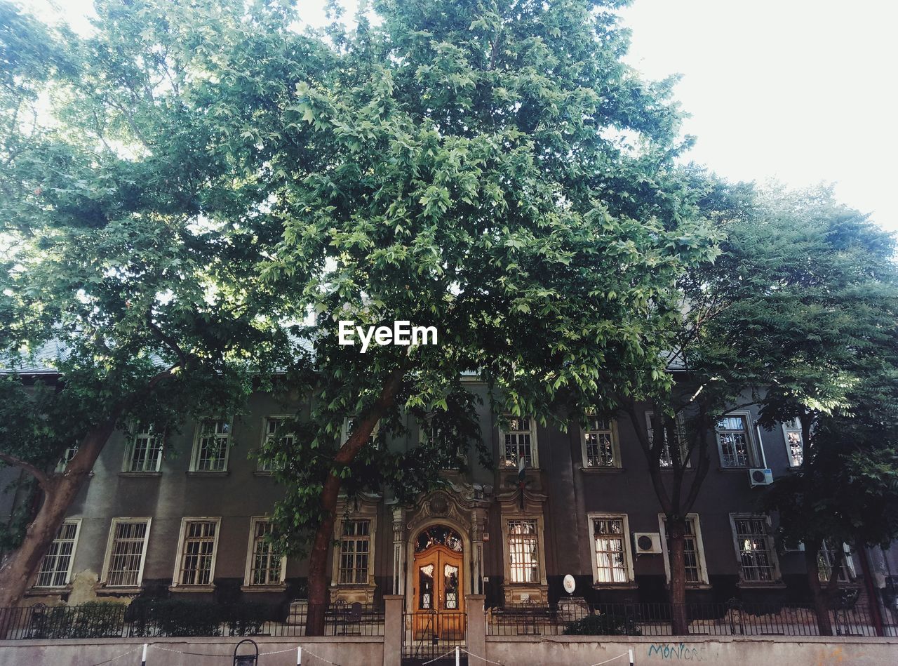 VIEW OF TREES AGAINST BUILDING