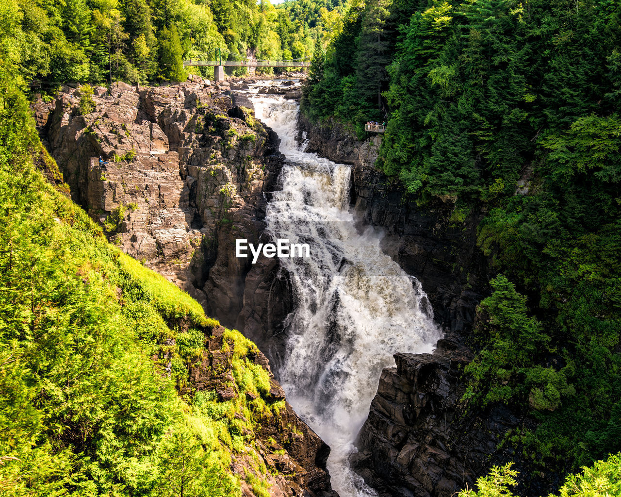 SCENIC VIEW OF WATERFALL AMIDST TREES