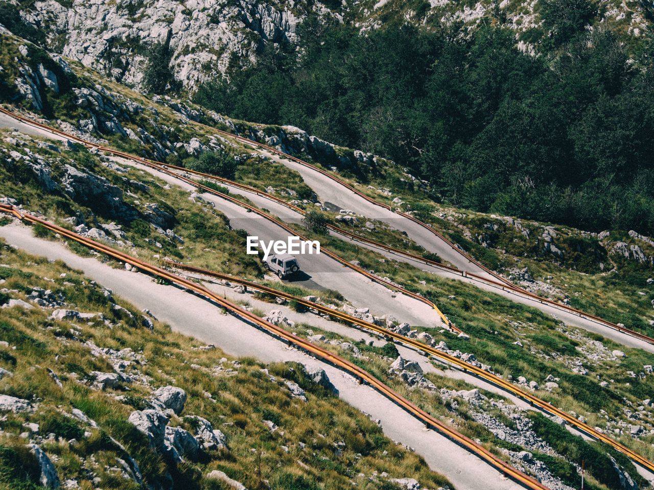 High angle view of country road along trees