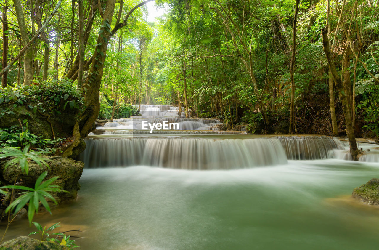 view of waterfall in forest