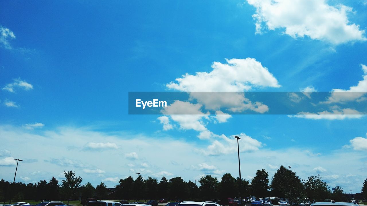 LOW ANGLE VIEW OF TREES AND BLUE SKY