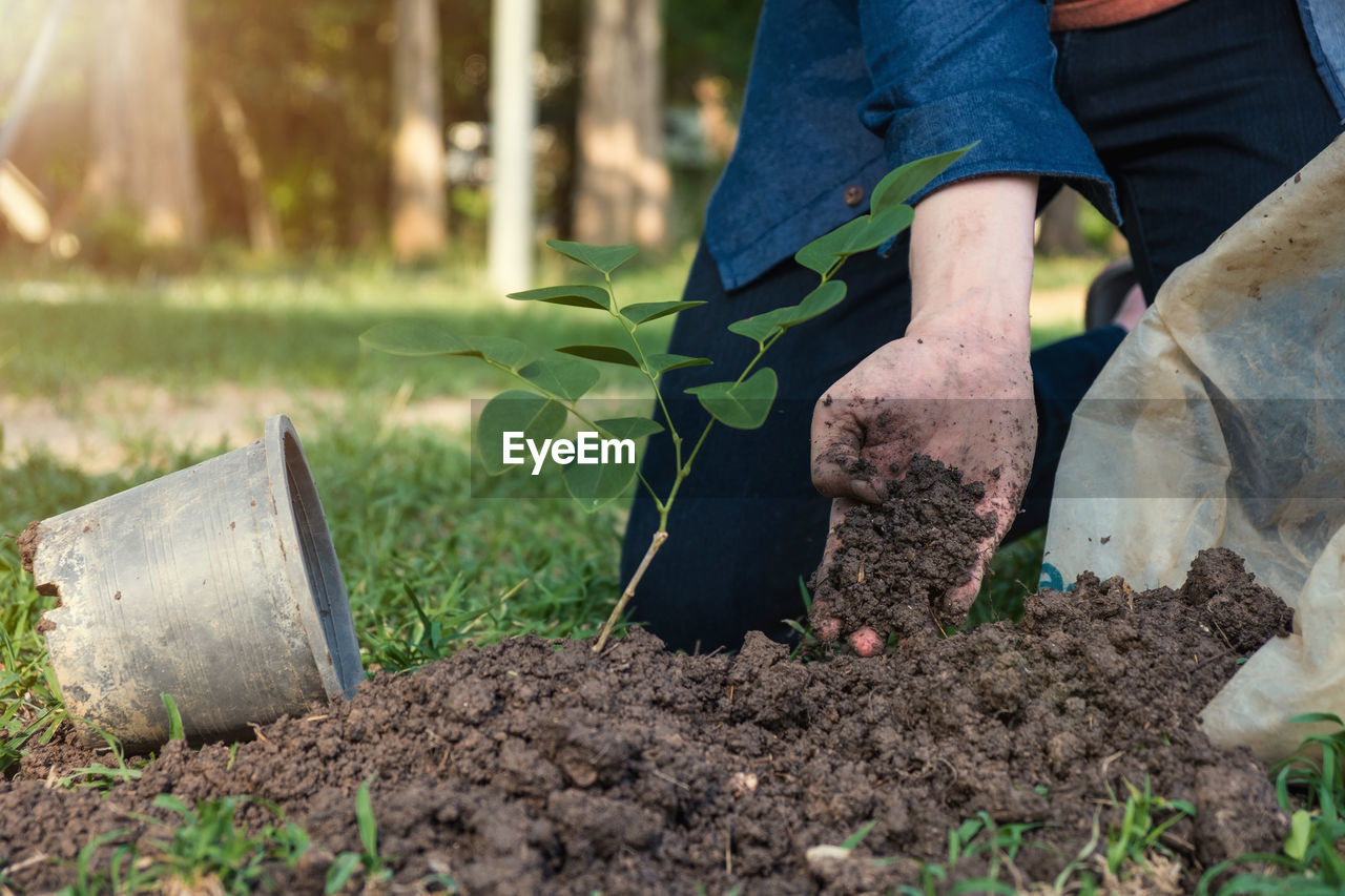 Close-up of man planting plant in park