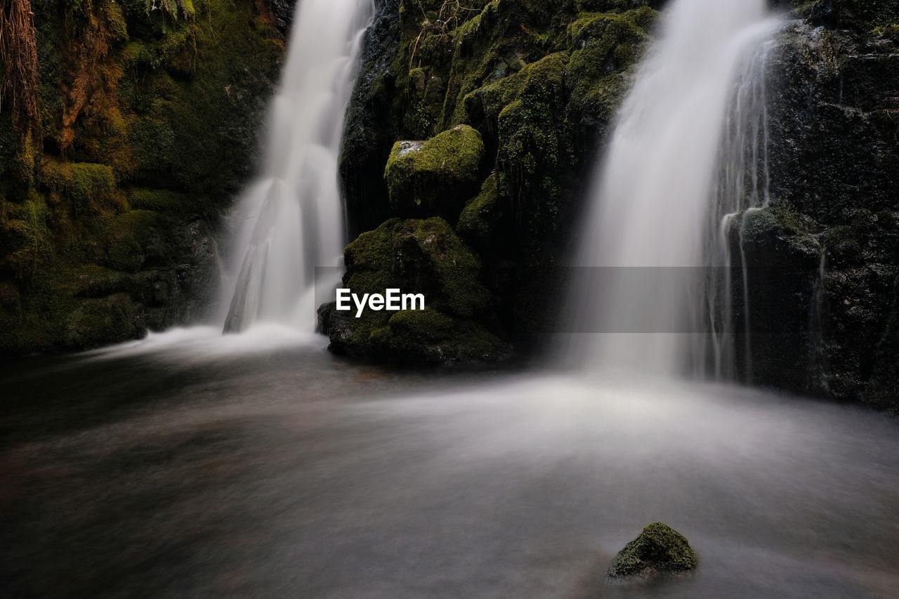 Scenic view of waterfall in forest