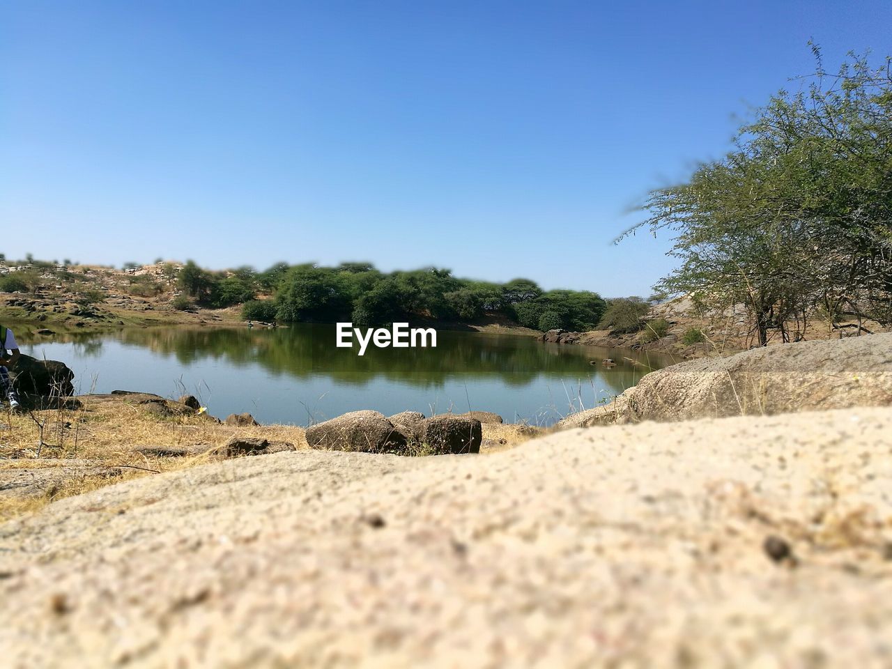 LAKE BY TREES AGAINST CLEAR SKY