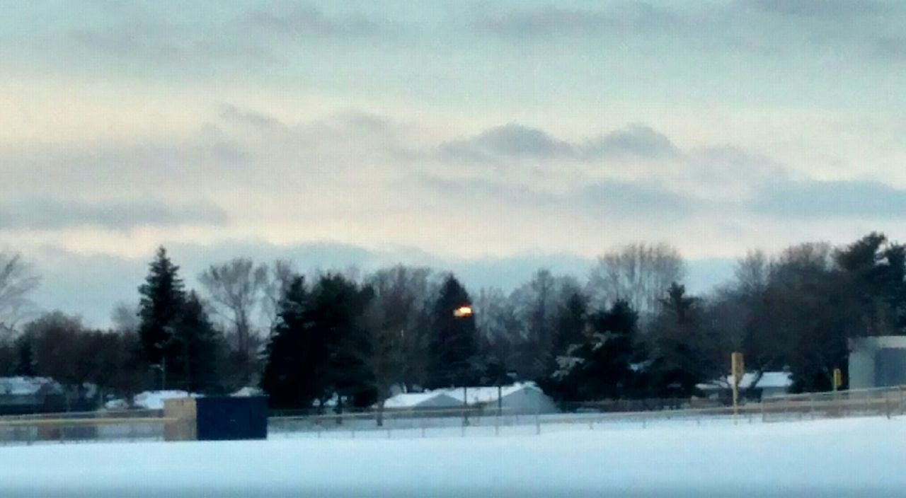 VIEW OF TREES AGAINST SKY