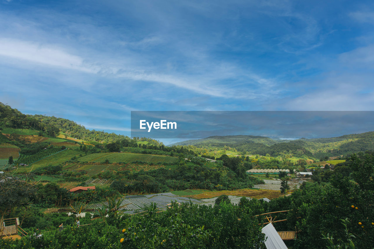 environment, sky, landscape, plant, hill, scenics - nature, nature, cloud, land, beauty in nature, mountain range, tree, rural area, architecture, building, rural scene, no people, green, field, house, outdoors, built structure, valley, agriculture, blue, tranquility, building exterior, residential district, travel, high angle view, growth, village, city, summer, day, tranquil scene, travel destinations, flower, forest, crop, meadow, social issues