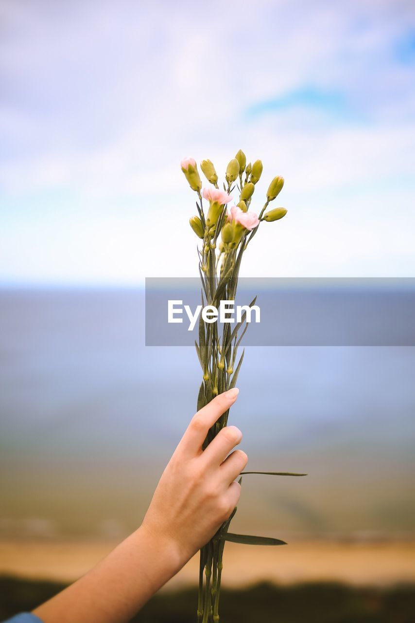 Close-up of hand holding flowers against sky